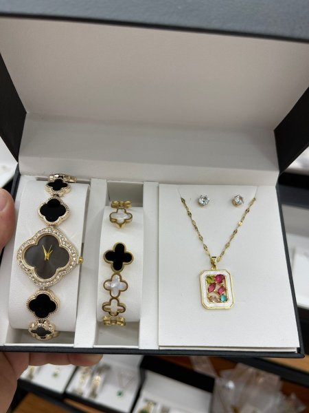 Women watche set -w.w.s.109